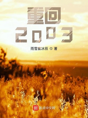 小说魔幻手机之重回2003