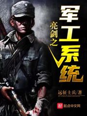 远征士兵亮剑之军工系统