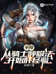 巫师1骑士团