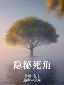 隐秘死角无错别字