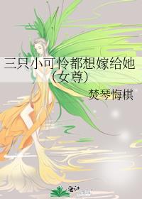 三只小可怜都想嫁给她（女尊）