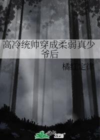 高冷统帅穿成柔弱真少爷后