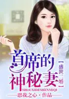 盛世二婚总裁的神秘妻