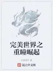 完美世界之重生石昊的小说