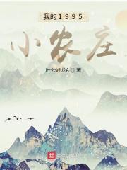 我的1995小农庄TXT免费下载