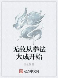 无敌从拳法大成开始境界