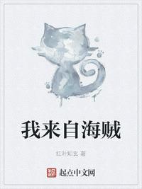 海贼:我可是