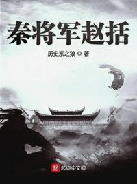 秦将军赵括起点